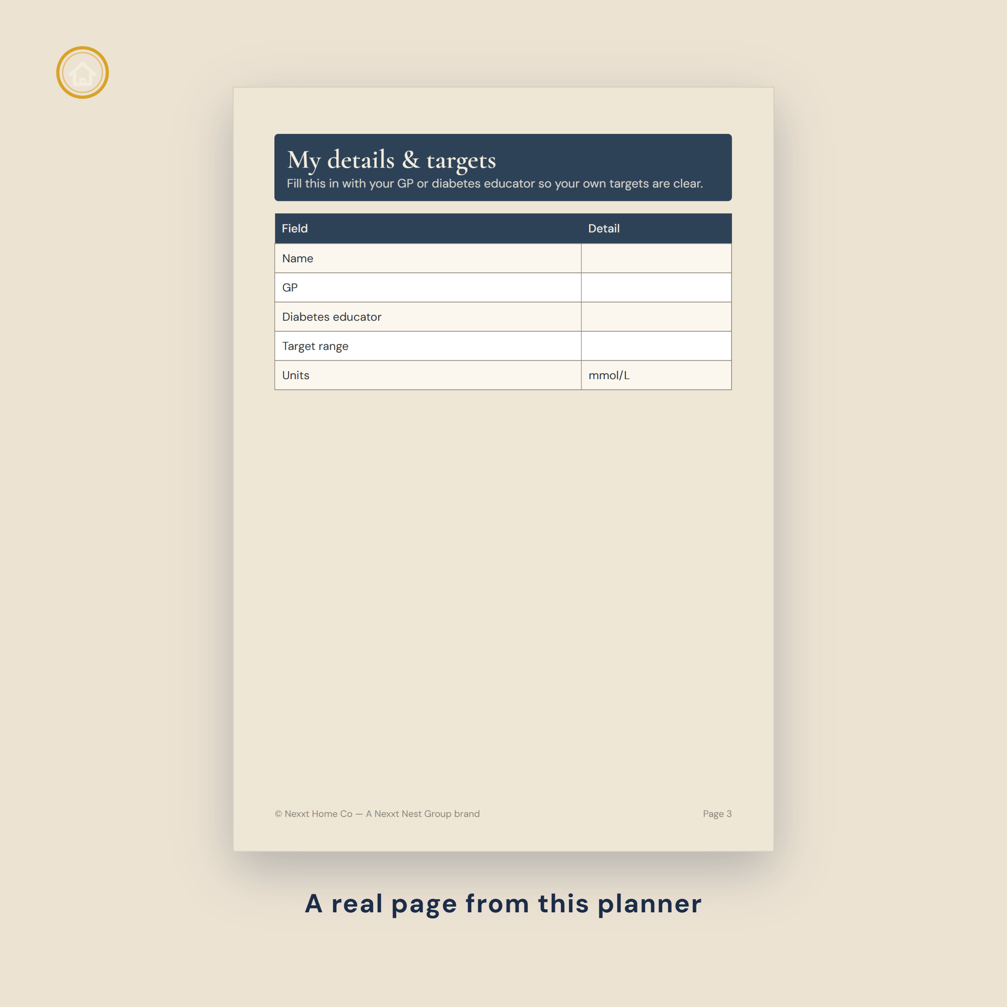 Preview — insulin and medication log pages